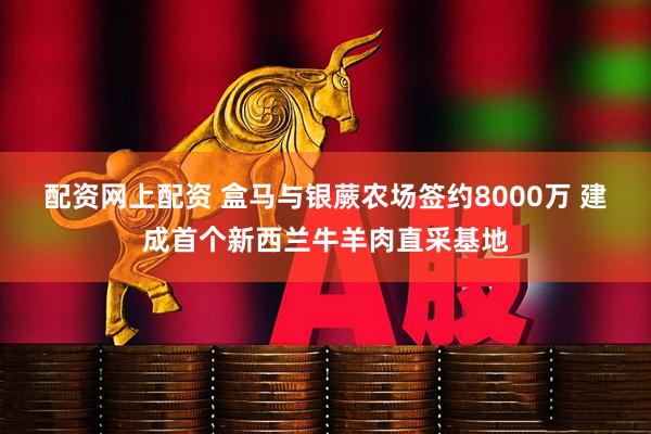 配资网上配资 盒马与银蕨农场签约8000万 建成首个新西兰牛羊肉直采基地
