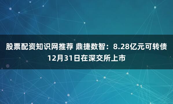 股票配资知识网推荐 鼎捷数智：8.28亿元可转债12月31日在深交所上市